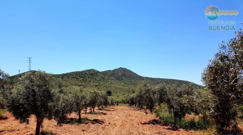 Murcia - Fuente Álamo de Murcia - 9020m2