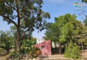 Casa de camp amb terreny en venda a la España, Fuente Álamo, ref.: TR241300 foto