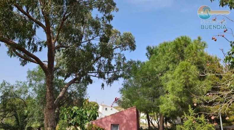 Murcia - Fuente Álamo de Murcia - 9020m2