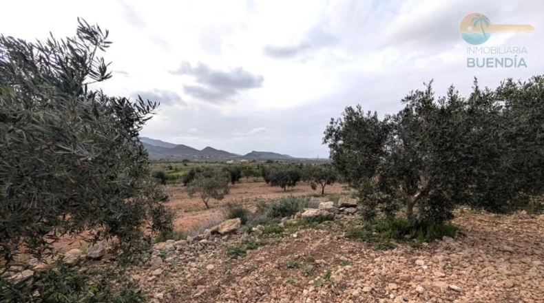 Murcia - Fuente Álamo de Murcia - 9020m2