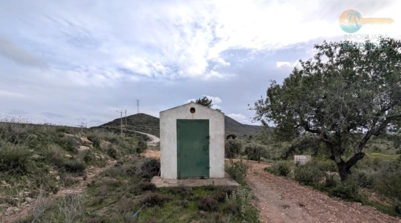 Murcia - Fuente Álamo de Murcia - 9020m2