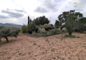 Casa de camp amb terreny en venda a la España, Fuente Álamo, ref.: TR241300 foto