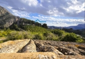Terreny no urbanitzable en venda a la España, Callosa d'en Sarrià, ref.: TR232615 foto