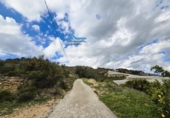 Terreny no urbanitzable en venda a la España, Callosa d'en Sarrià, ref.: TR232615 foto
