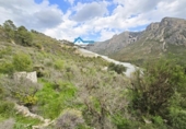 Terreny no urbanitzable en venda a la España, Callosa d'en Sarrià, ref.: TR232615 foto