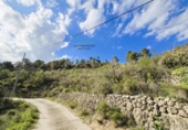 Terreny no urbanitzable en venda a la España, Callosa d'en Sarrià, ref.: TR232615 foto