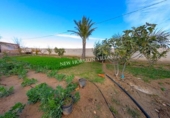 Casa de camp amb terreny en venda a la España, Huércal-Overa, ref.: TR137388 foto