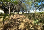 Suelo urbano en venta en la España, Salamanca, ref: TR269400 foto