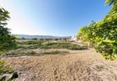 Casa de camp amb terreny en venda a la España, Arboleas, ref.: TR143084 foto