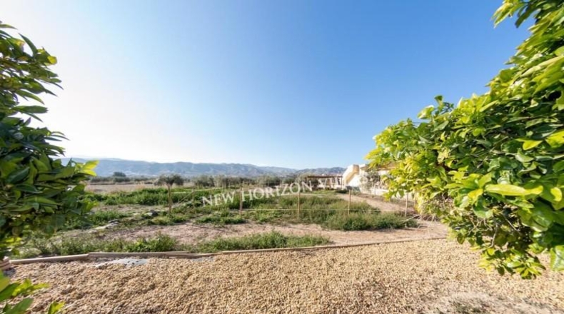 Almeria - Arboleas - 1182m2