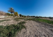 Casa de camp amb terreny en venda a la España, Arboleas, ref.: TR143084 foto