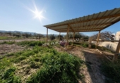 Casa de camp amb terreny en venda a la España, Arboleas, ref.: TR143084 foto