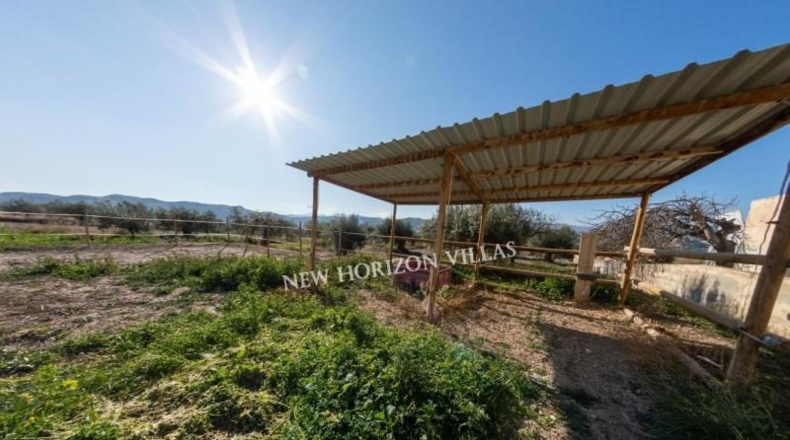Almeria - Arboleas - 1182m2