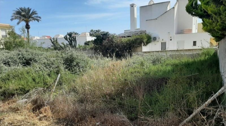 Almeria - Vera - 350m2
