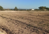 Terreny no urbanitzable en venda a la España, Elx, ref.: TR129104 foto