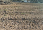 Terreny no urbanitzable en venda a la España, Elx, ref.: TR129104 foto