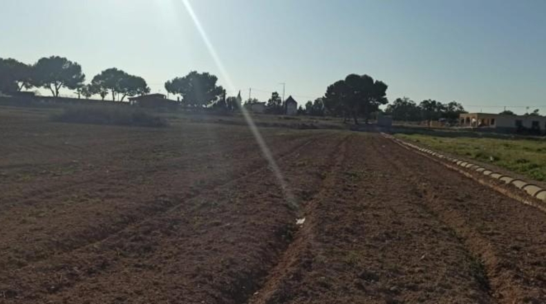 Alicante - Elche - 21500m2