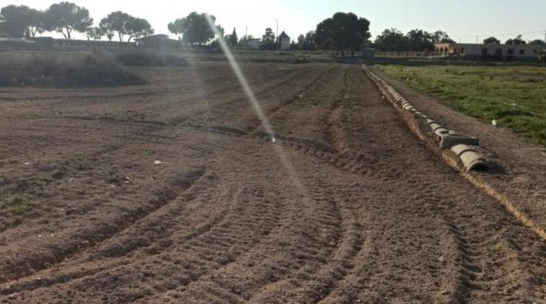 Alicante - Elche - 21500m2
