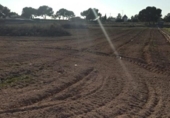 Terreny no urbanitzable en venda a la España, Elx, ref.: TR129104 foto
