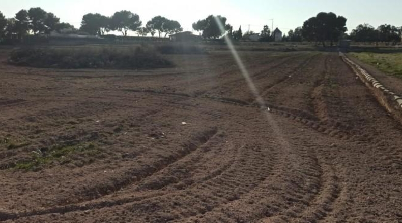 Alicante - Elche - 21500m2