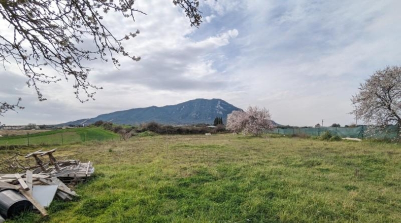 Navarra - Estella - 5400m2