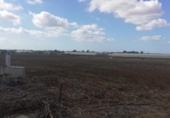 Terreny no urbanitzable en venda a la España, Chiclana de la Frontera, ref.: TR177967 foto