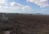 Terreny no urbanitzable en venda a la España, Chiclana de la Frontera, ref.: TR177967 foto