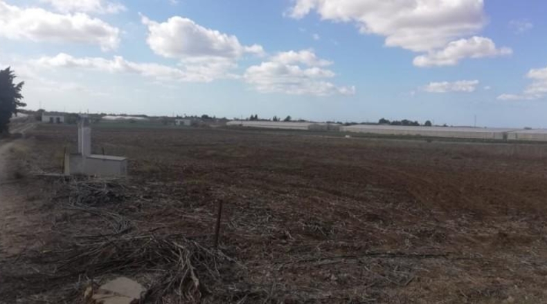 Cadiz - Chiclana de la Frontera - 22000m2