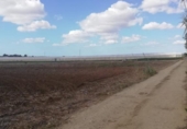 Terreny no urbanitzable en venda a la España, Chiclana de la Frontera, ref.: TR177967 foto