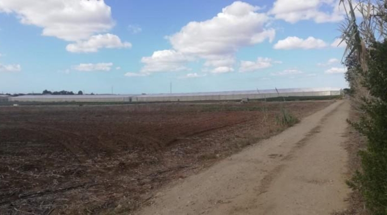 Cadiz - Chiclana de la Frontera - 22000m2