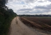 Terreny no urbanitzable en venda a la España, Chiclana de la Frontera, ref.: TR177967 foto