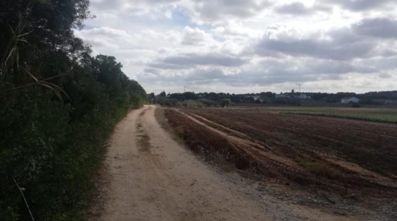 Cadiz - Chiclana de la Frontera - 22000m2