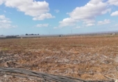 Terreny no urbanitzable en venda a la España, Chiclana de la Frontera, ref.: TR177967 foto