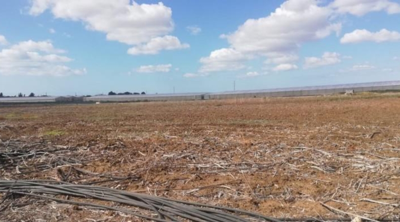 Cadiz - Chiclana de la Frontera - 22000m2