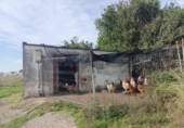 Non-developable land for sale on España, Santander, ref: TR178997 photo