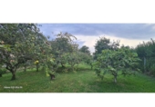 Sòl urbà en venda a la España, Narón, ref.: TR125014 foto