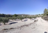 Non-developable land for sale on España, Moratalla, ref: TR125553 photo