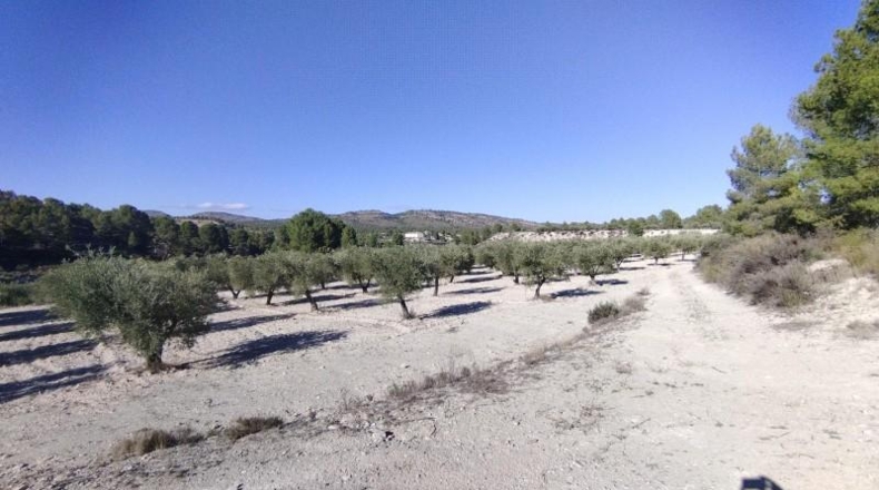 Múrcia - Moratalla - 320000m2