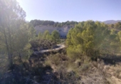 Non-developable land for sale on España, Moratalla, ref: TR125553 photo