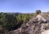 Non-developable land for sale on España, Moratalla, ref: TR125553 photo