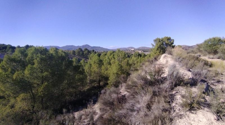 Múrcia - Moratalla - 320000m2