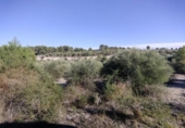 Non-developable land for sale on España, Moratalla, ref: TR125553 photo