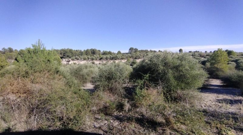 Múrcia - Moratalla - 320000m2