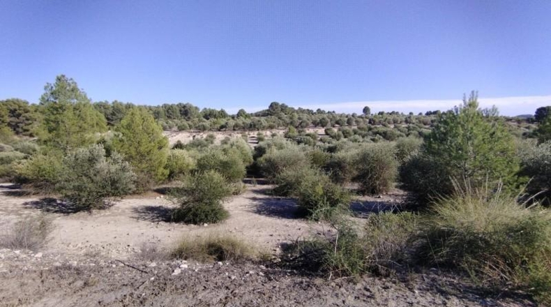 Múrcia - Moratalla - 320000m2