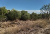 Non-developable land for sale on España, Moratalla, ref: TR125553 photo