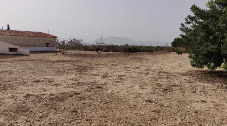 Alicante - Crevillent - 14000m2