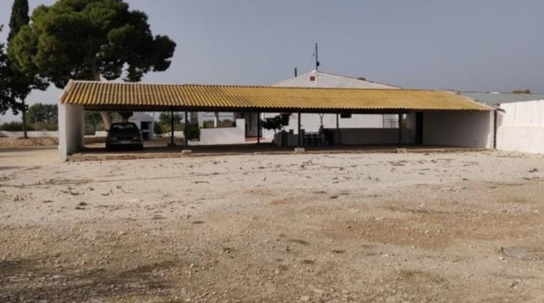 Alicante - Crevillent - 14000m2