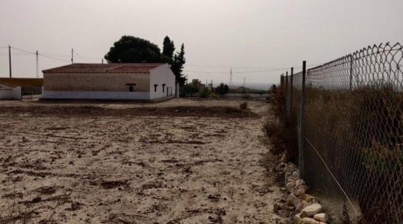 Alicante - Crevillent - 14000m2