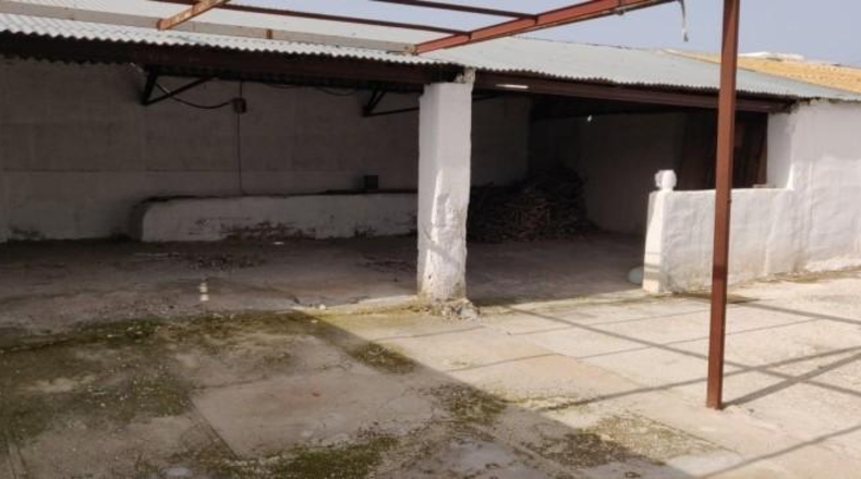 Alicante - Crevillent - 14000m2