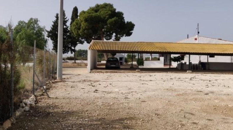 Alicante - Crevillent - 14000m2